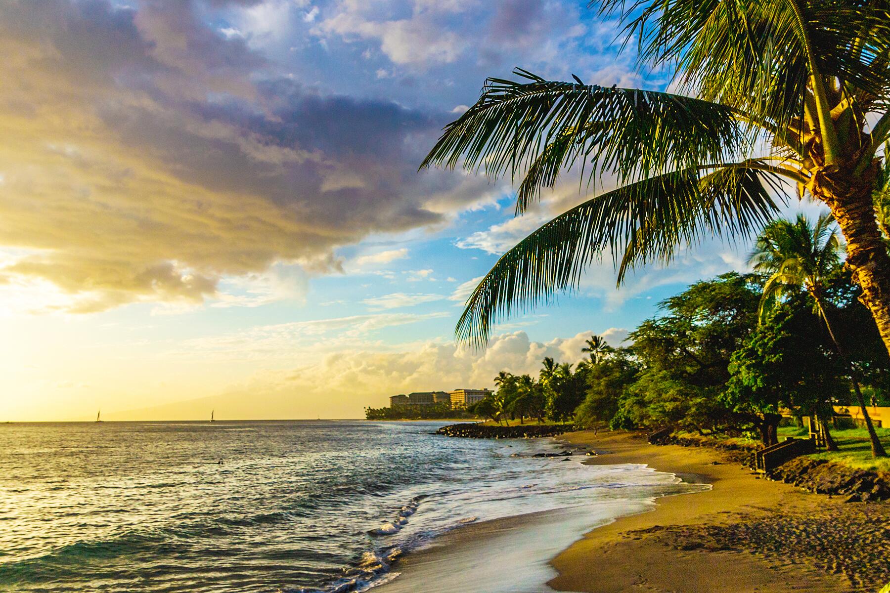 26 Ultimate Things to Do in Maui