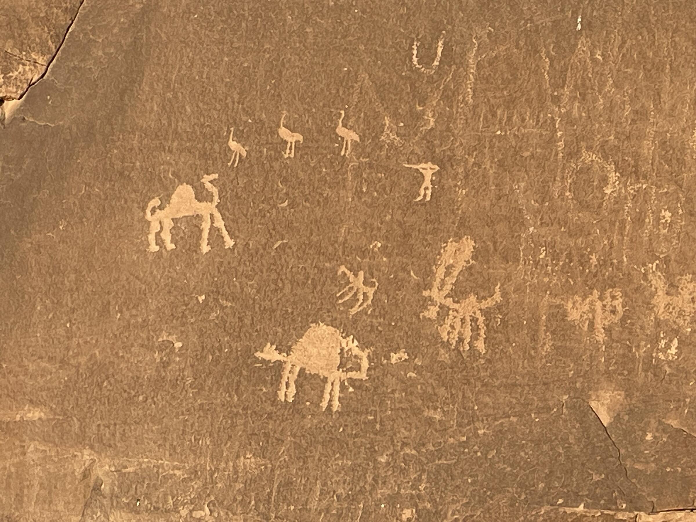 Petroglyphs_by Rachael Levitt