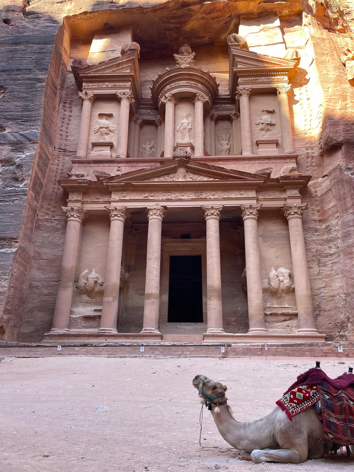 Treasury Camel_By Rachael Levitt