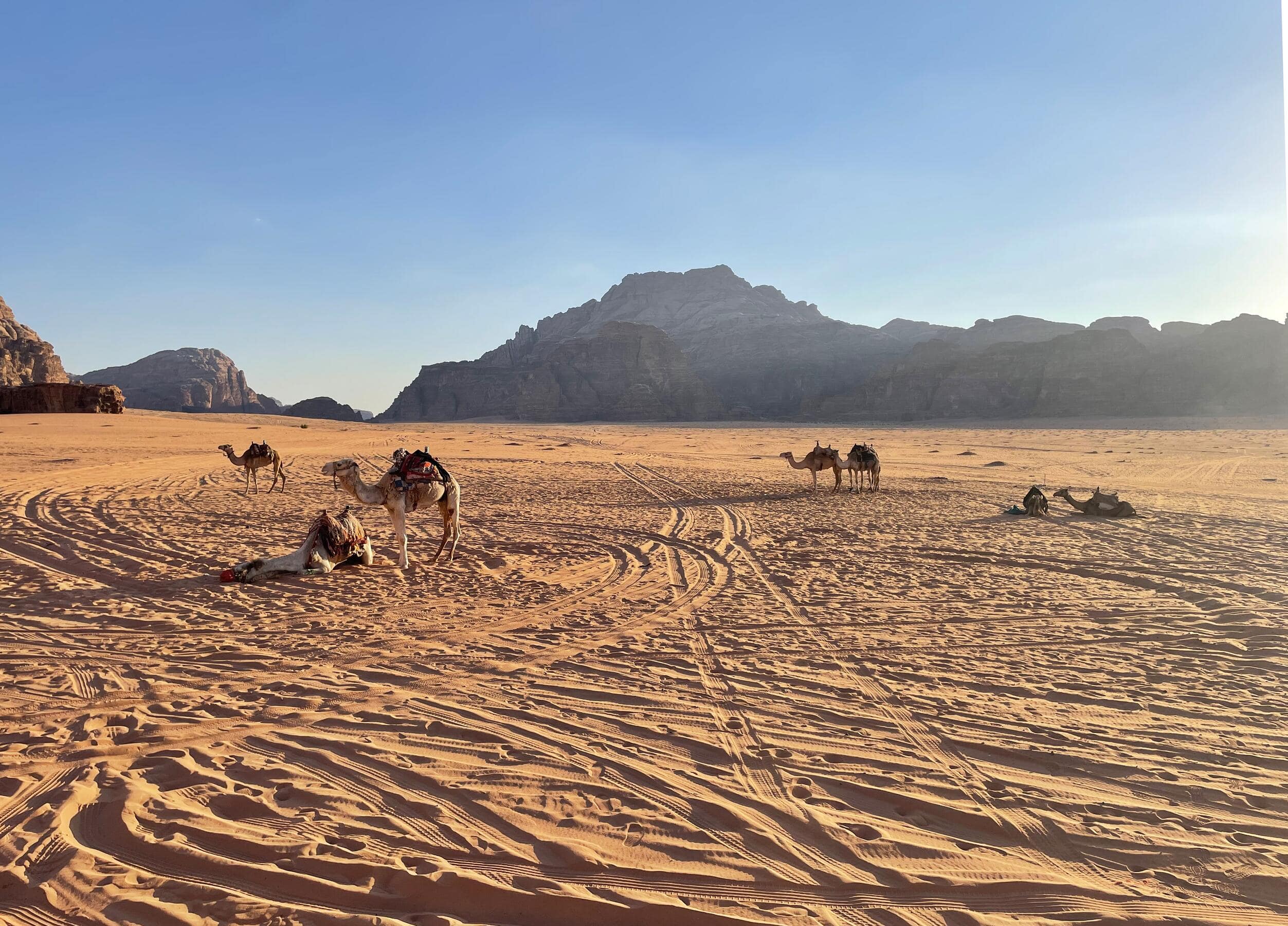 Wadi Rum2_by Rachael Levitt copy